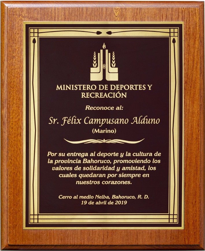 PLACA LÍNEA CLÁSICA SENCILLA