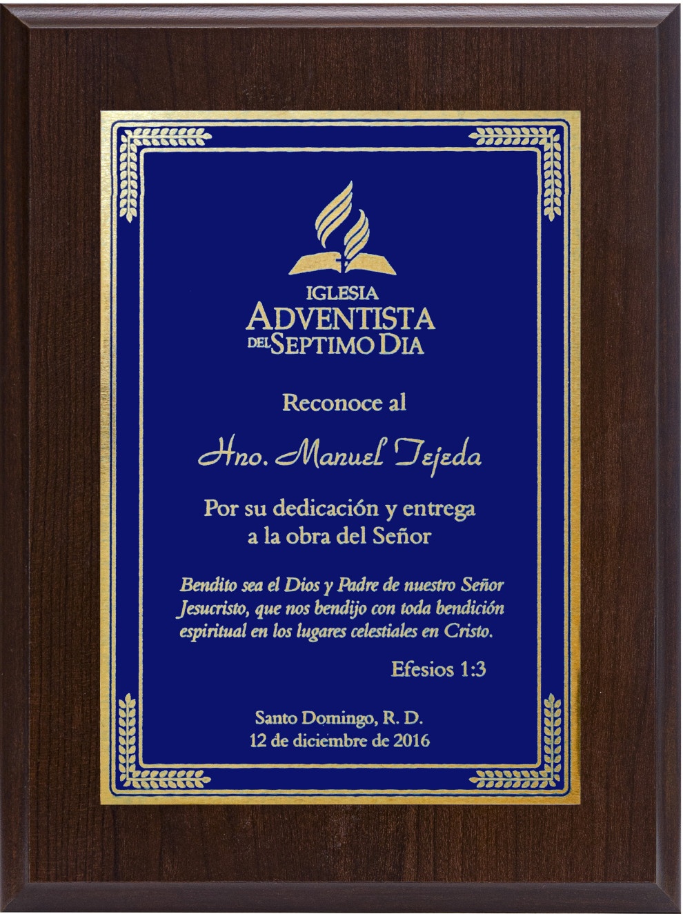 Placa  BÁSICA