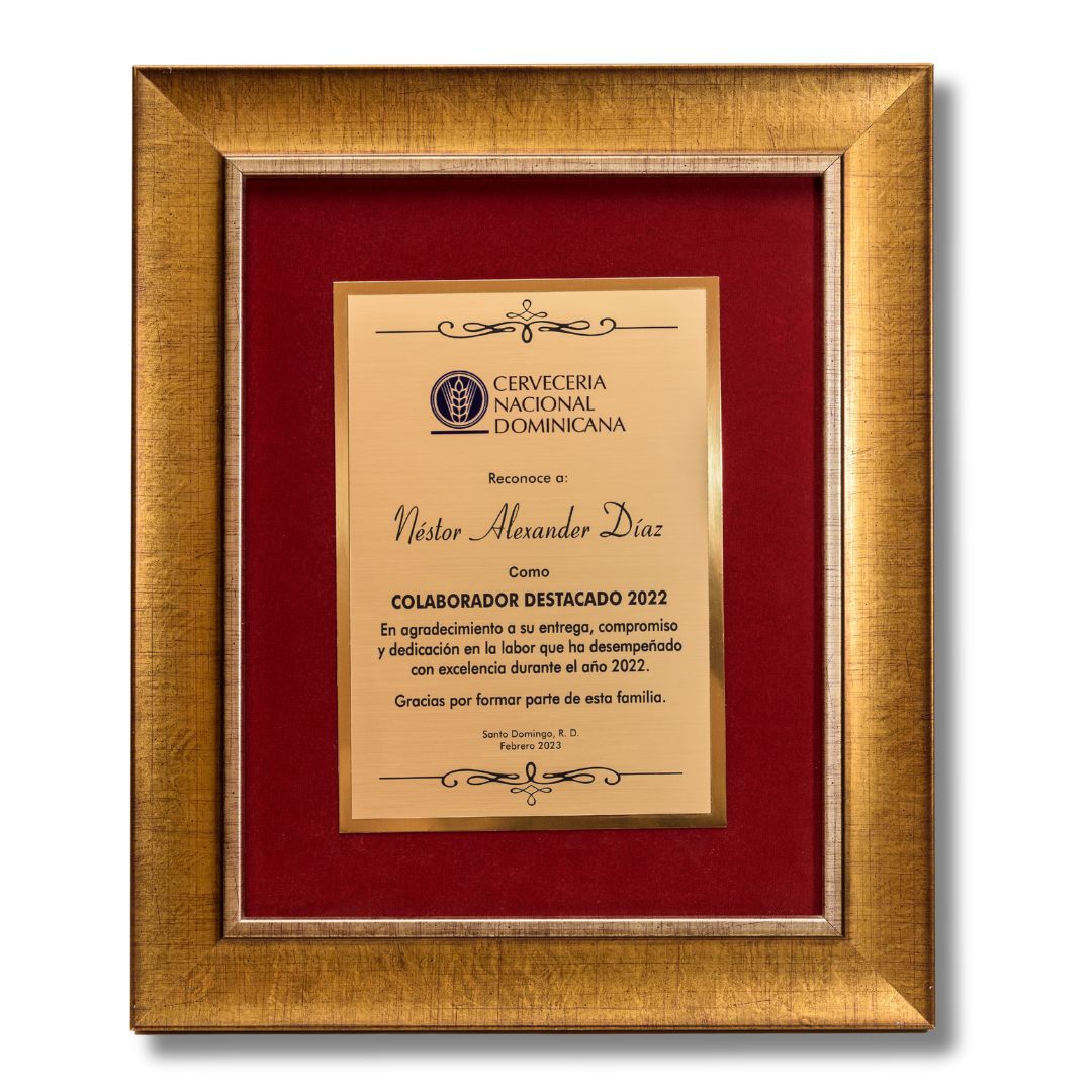 Placa Enmarcada Da Vinci En Dorado